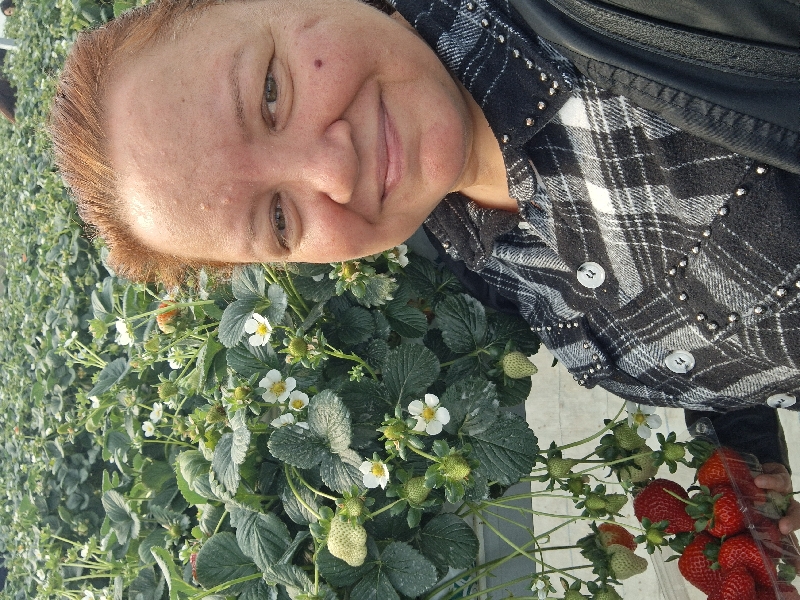 Emel