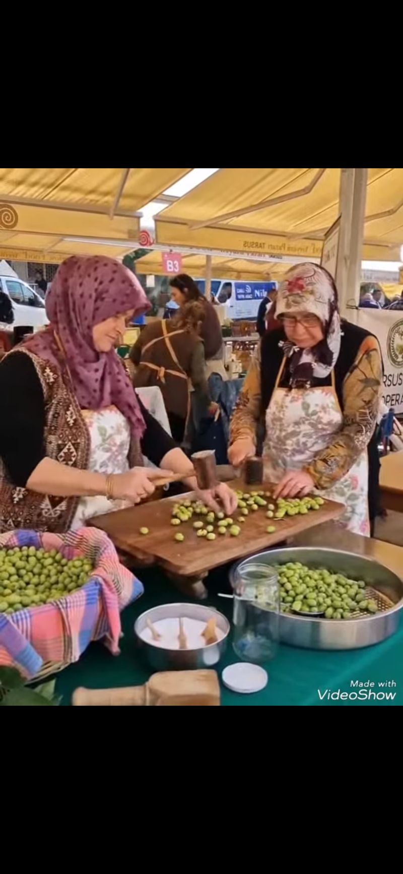 Kocafakı zeytincilik/Mustafa Kalın