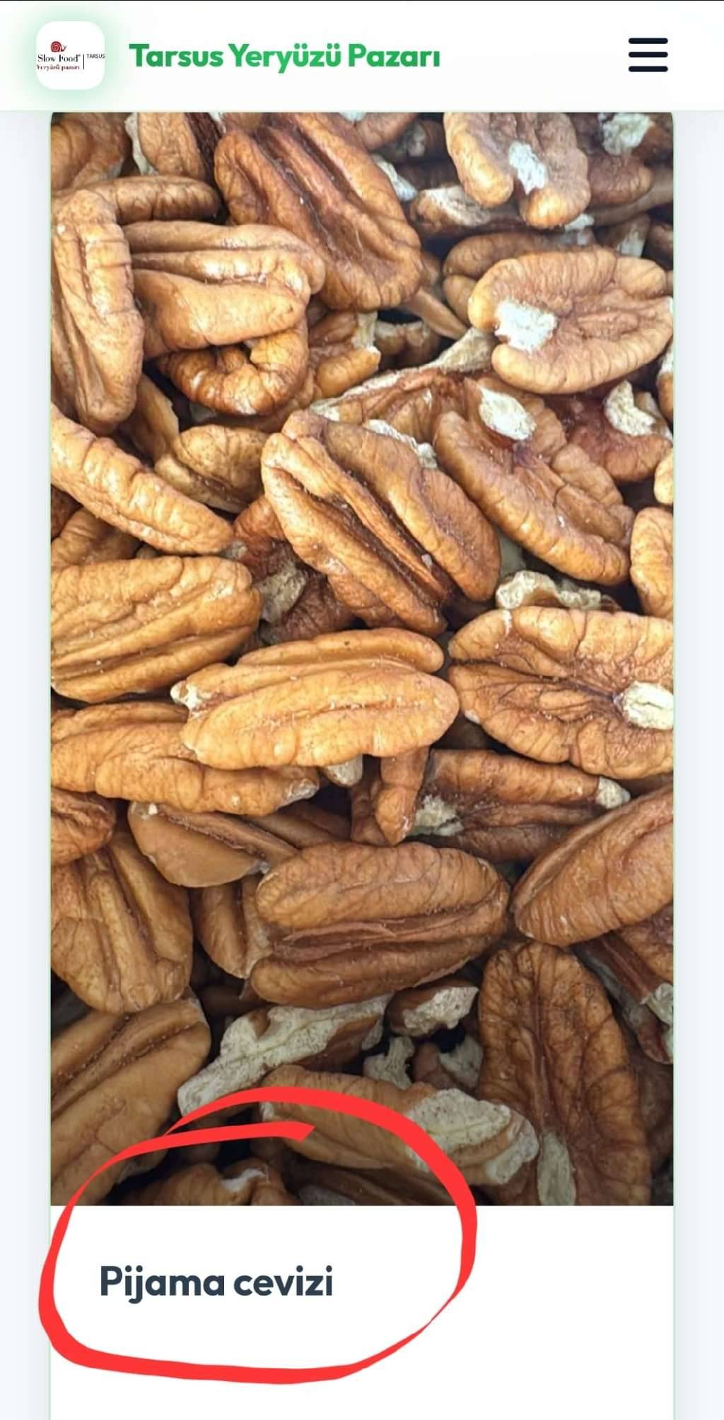 Pikan cevizi